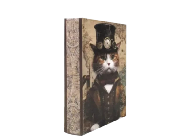 Boîte livre chat