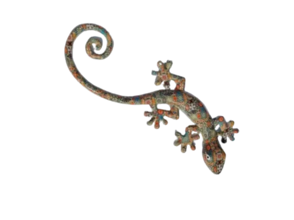 Salamandre multicolore