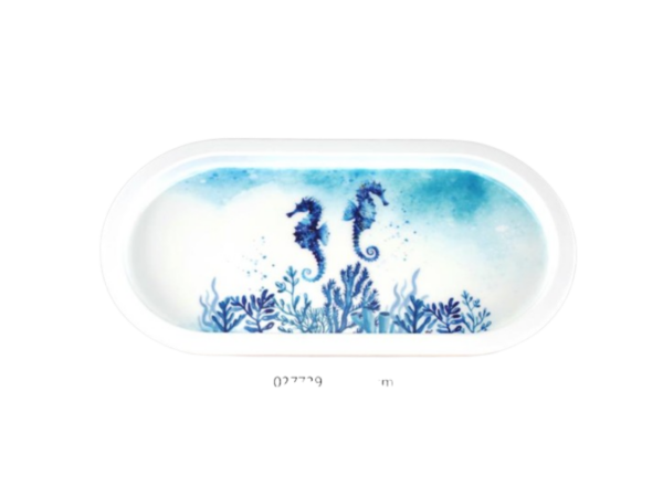 Plateau oval hippocampe