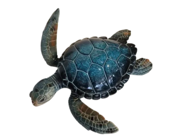 Tortue bleue T4