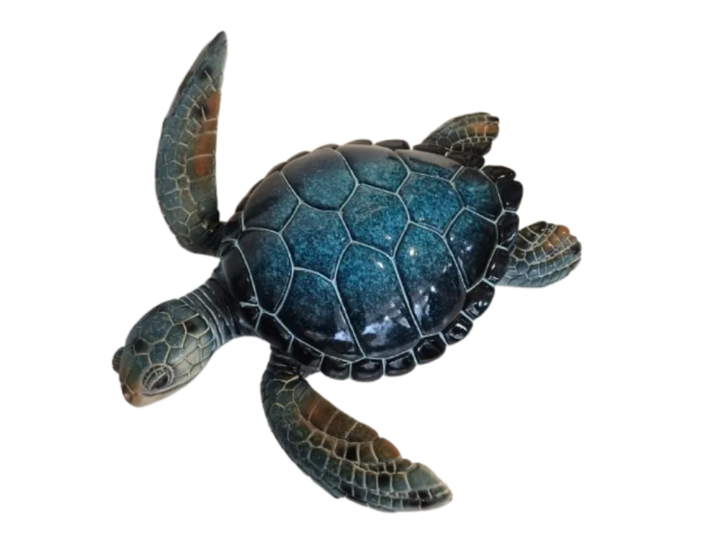 Tortue bleue T4